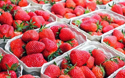 Cardboard pints of strawberries