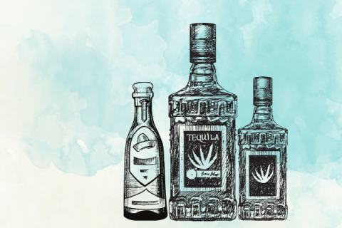 3 sketches of tequila bottles over a blue watercolor background 