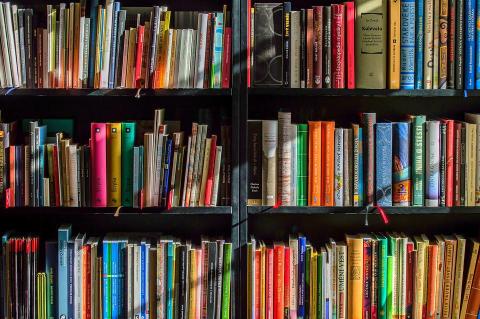 Three shelves of books at bookstore