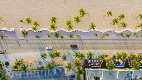 image of a stylized beach scene with palm trees and such.