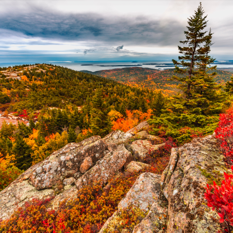 A trail in the fall