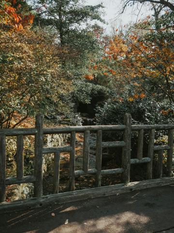 Image of the Morris Arboretum near Philadelphia.