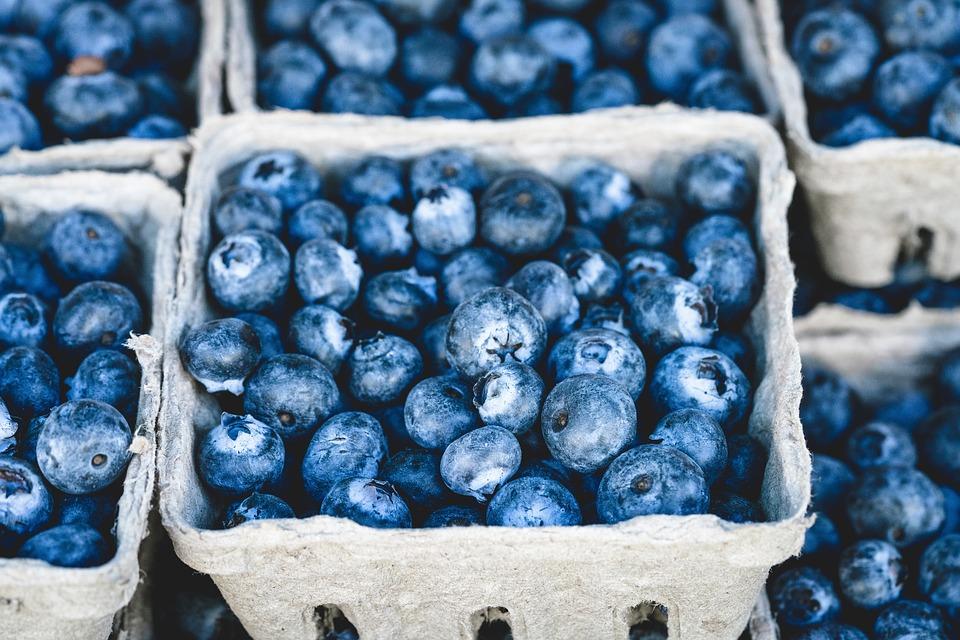 Cardboard pint container of blueberries