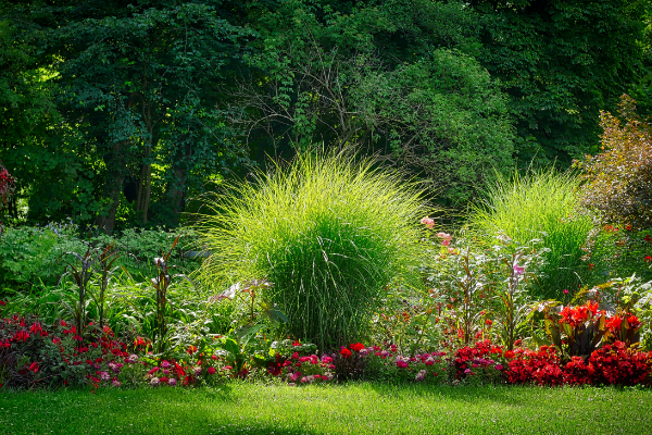 A classic modern day garden image