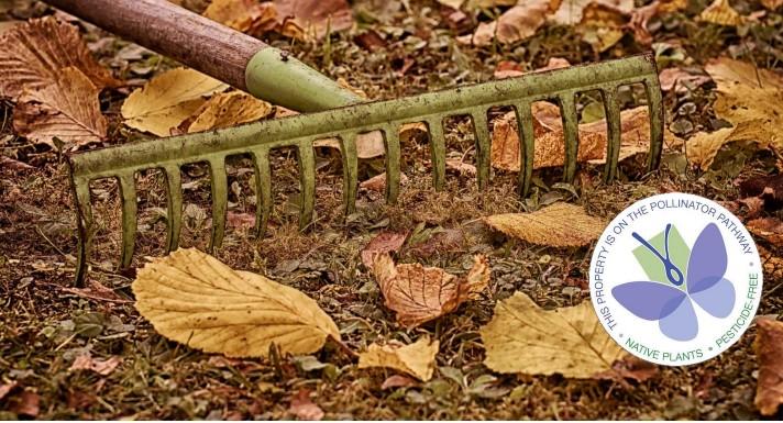 a rake over some fall leaves and a pollinator pathway emblem on the lower right