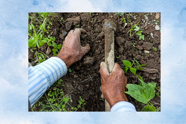 picture of a person working in the soil to prepare it for planting