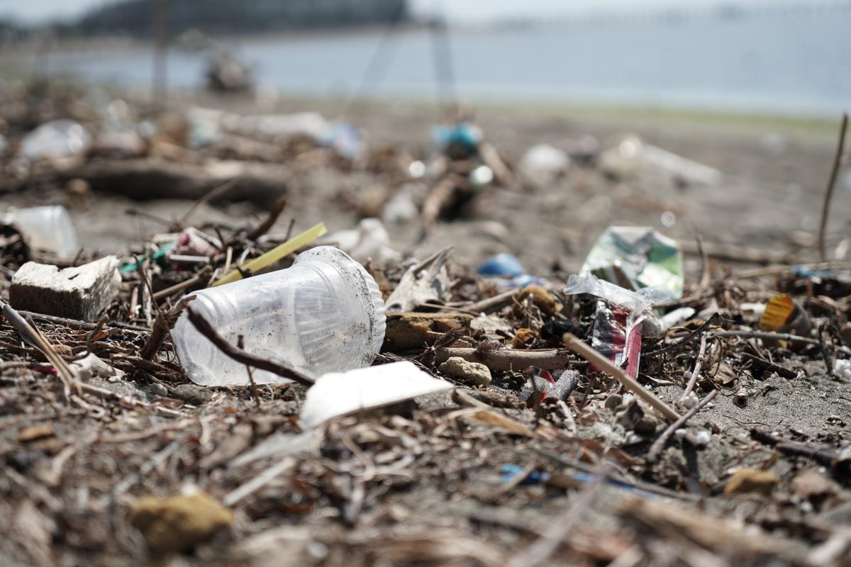 image of trash that has washed up on a beach