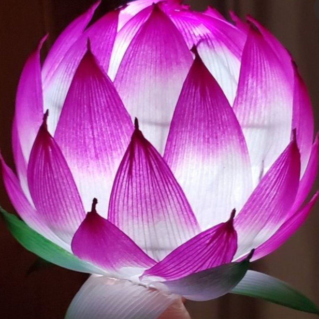 Lotus Lantern