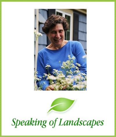 Image of Kathy Connolly, landscape designer