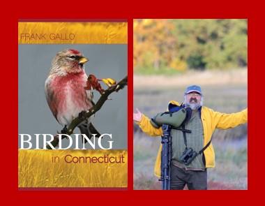 image of book, Birding in Connecticut and author, Frank Gallo