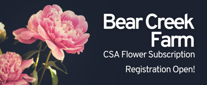 Bear Creek Farm; CSA Flower Subscription; Registration Open!